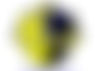 11月プログラム完成