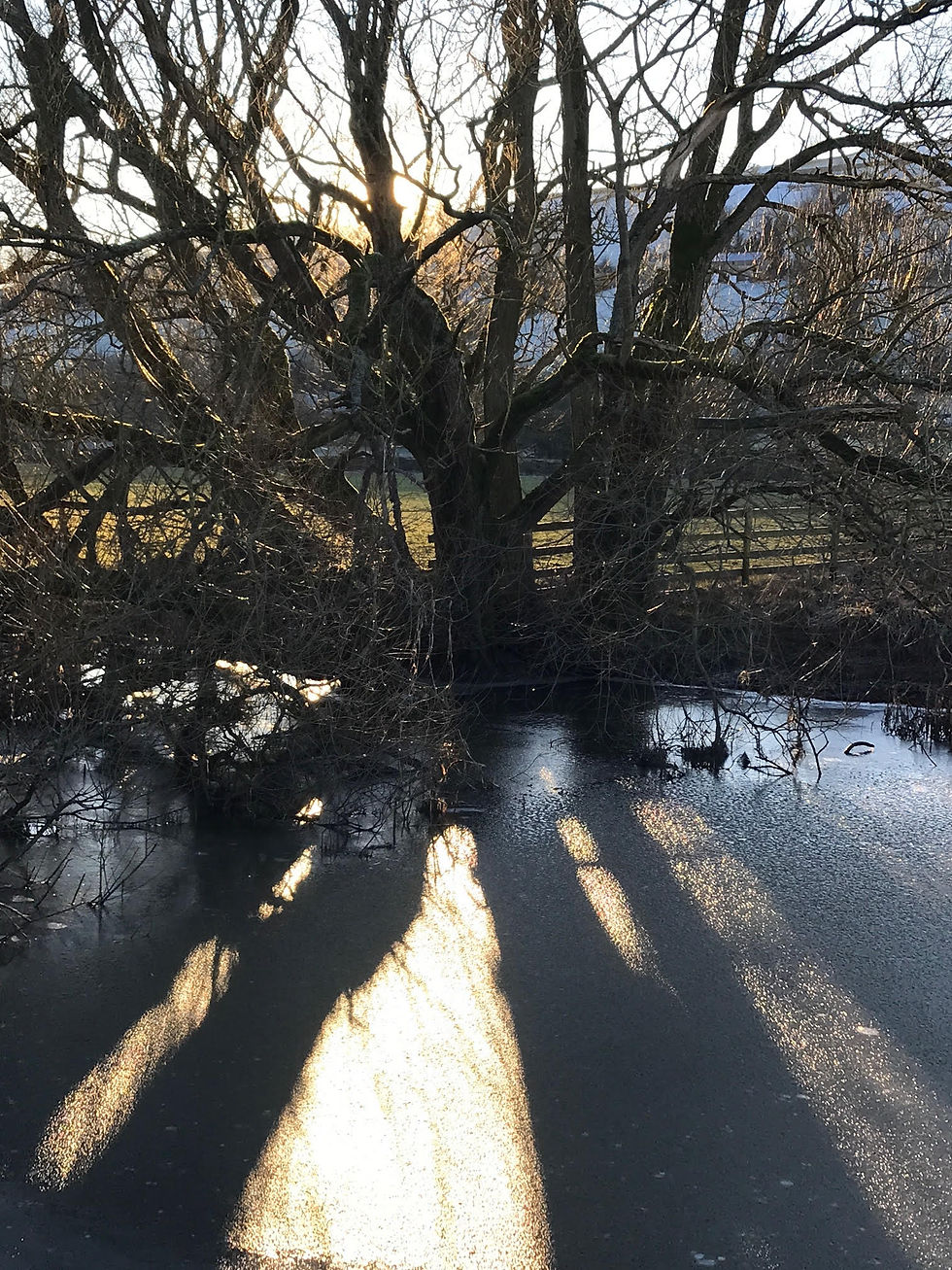 Dead Eye Pond 1