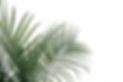 personal development coach online zoom support breathwork