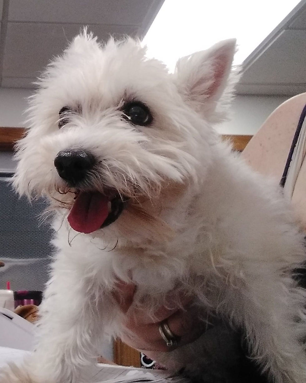 A Pet's Life BoardingDaycareGrooming Augusta, GA