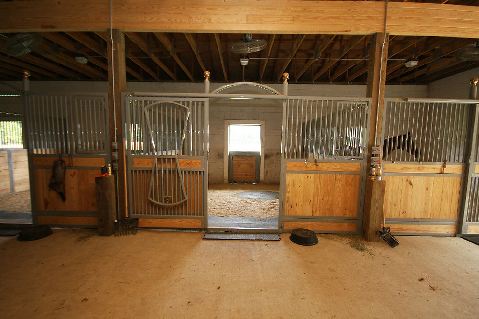 Horse Stable