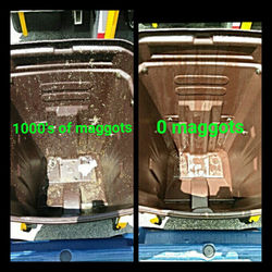 before and after trash can cleaning