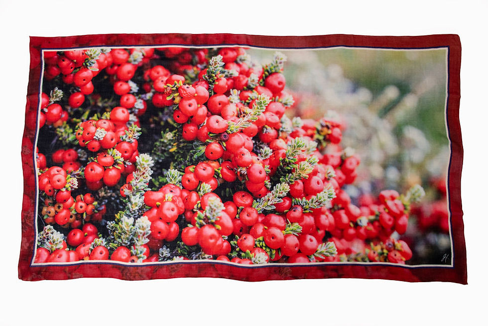 Thumbnail: Wool/Silk blend Scarf – Diddle dee