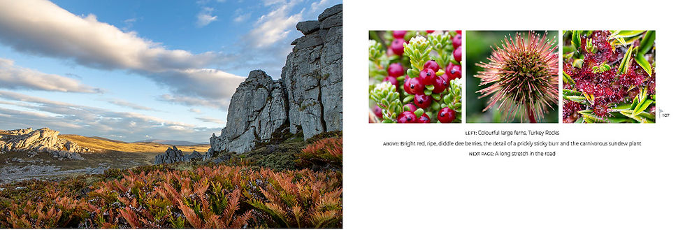 Thumbnail: 2nd Edition - Visions of the Falkland Islands - Pocket size
