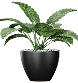 Adsız tasarım (54)-min.png