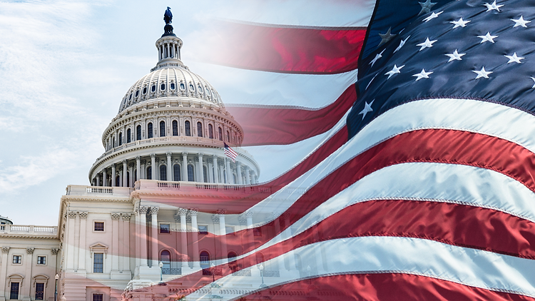 Capitol Building+flag.png