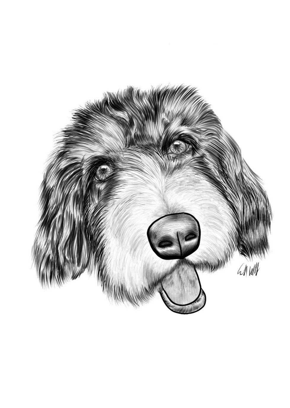 Digital dog drawing.