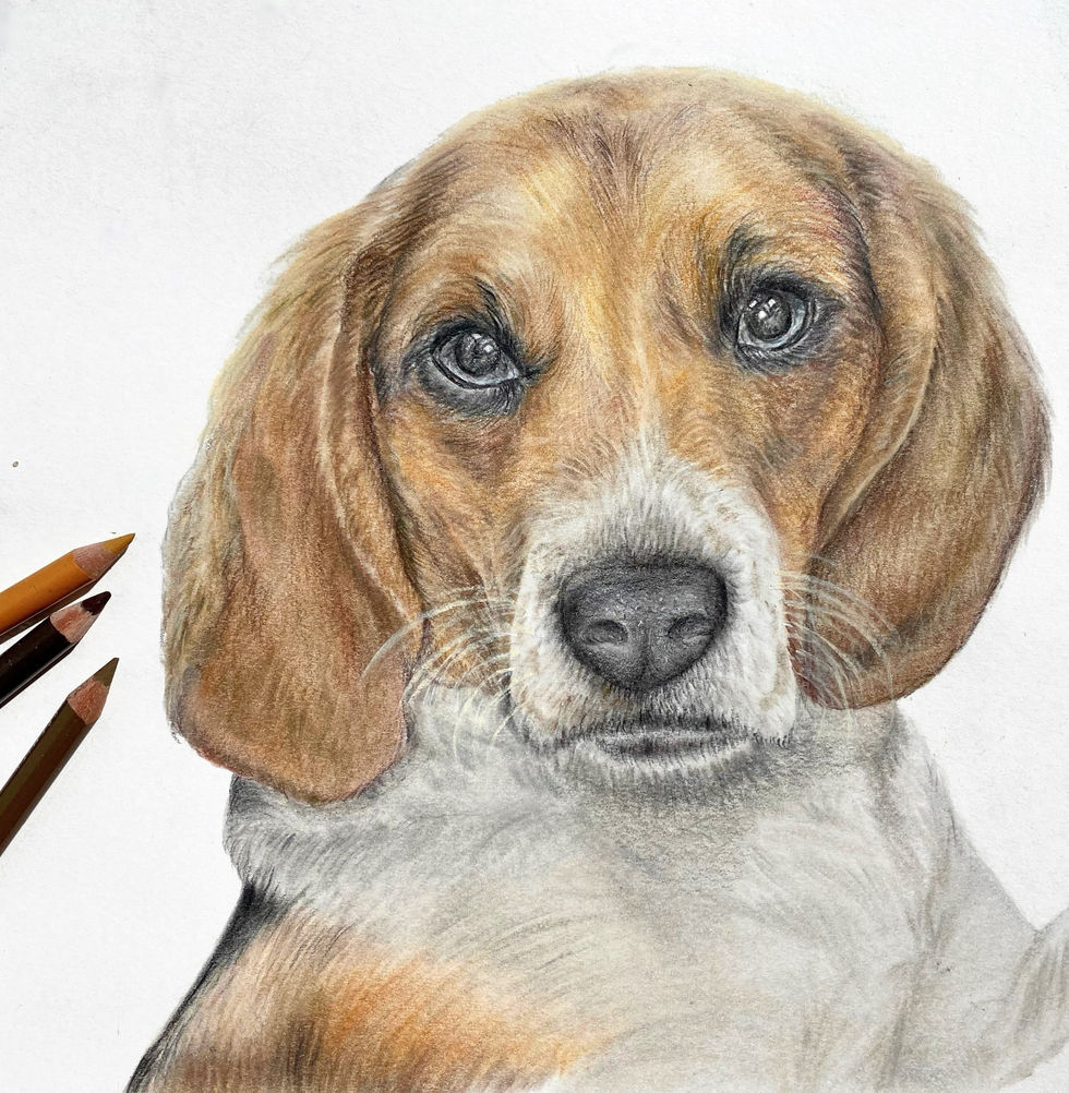 8"x10" colored pencil on paper.