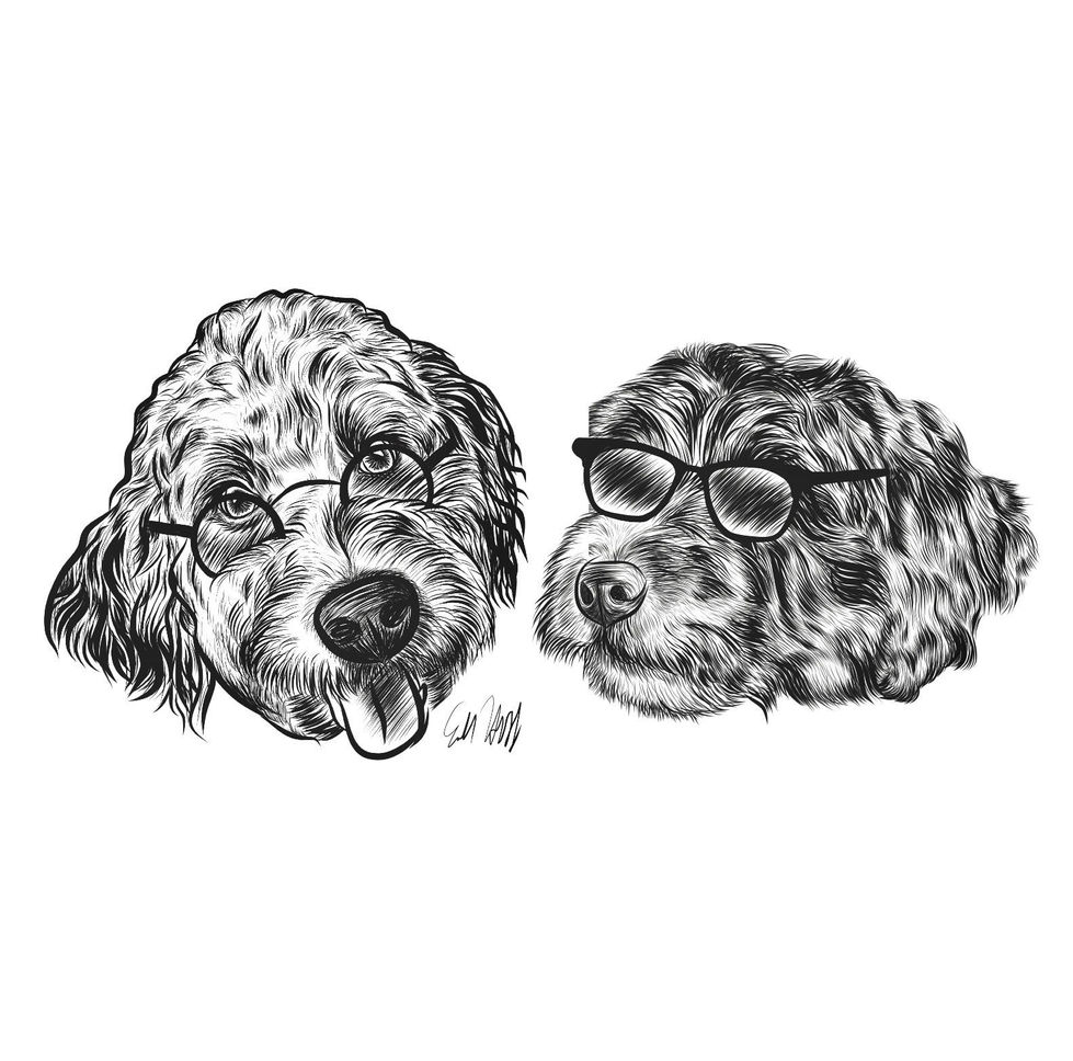 Digital dog drawing.