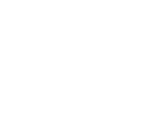 Rachel%20Hayek2%20(5)_edited.png