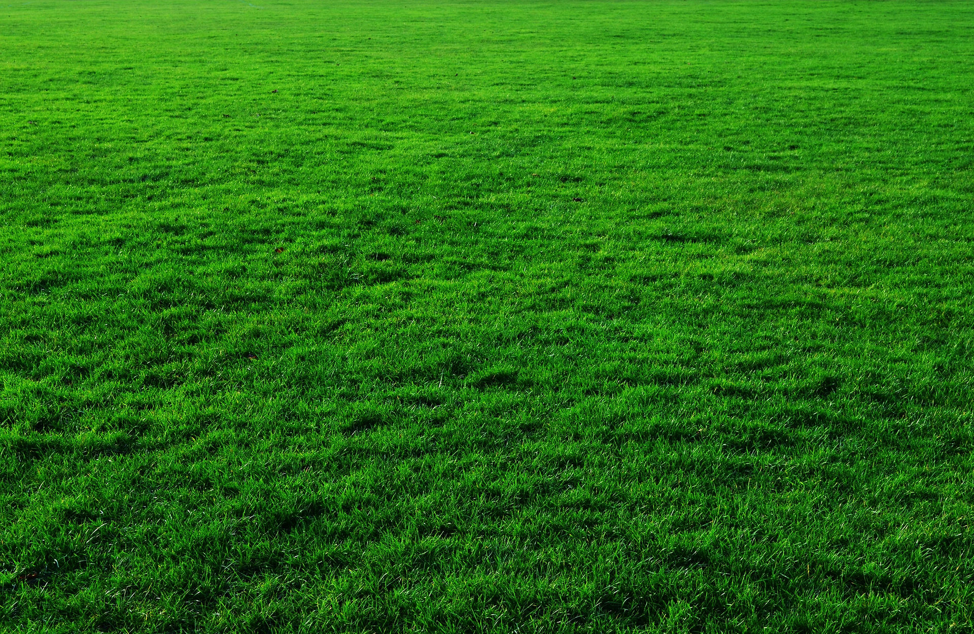 Reyes Lawn Service