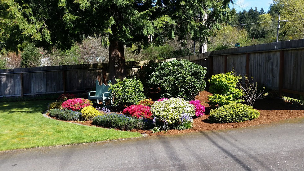 Reyes Lawn Service Contact Us