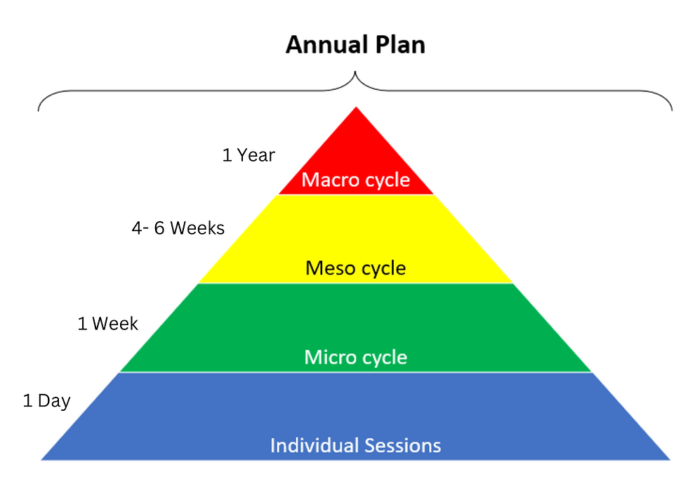 Three Training Cycles (macro, mico and meso cycles)