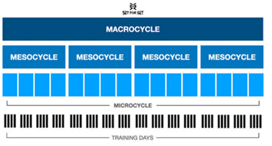 Overview of Macro, Meso, Microcycle