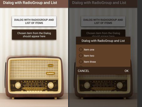 Android Dialog with Radio Group and List example