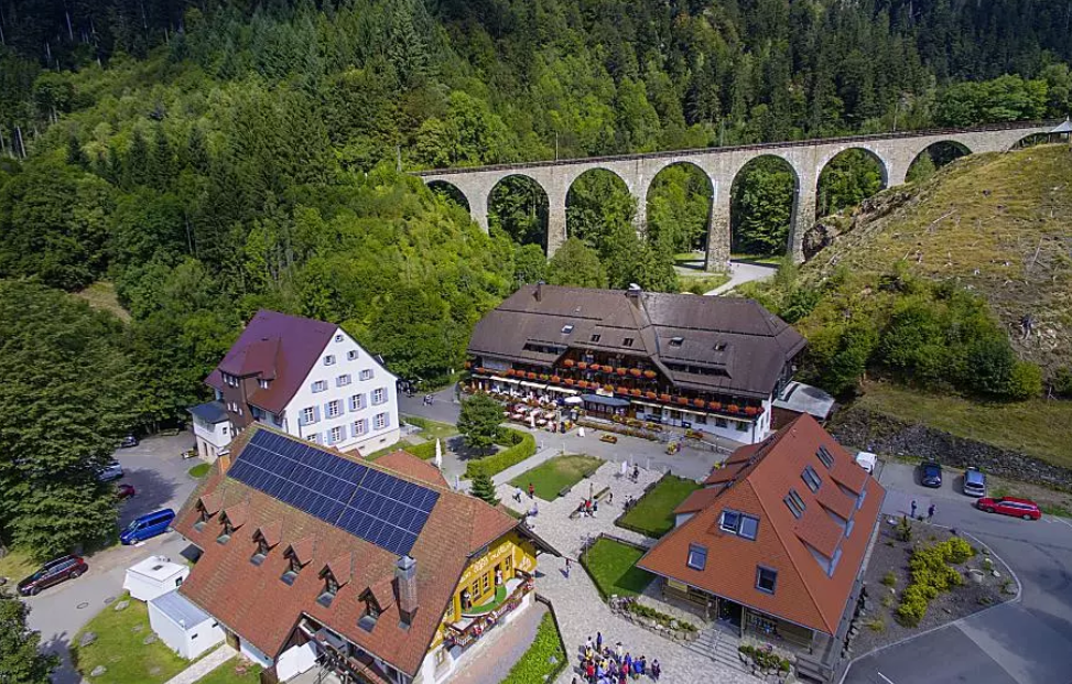 ADVENTURE - HUNDEERZIEHUNG IM SCHWARZWALD