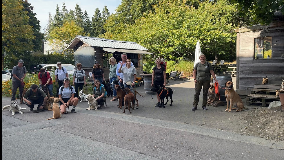 Vom Wanderparadies Latrop in den Höhenort Schanze