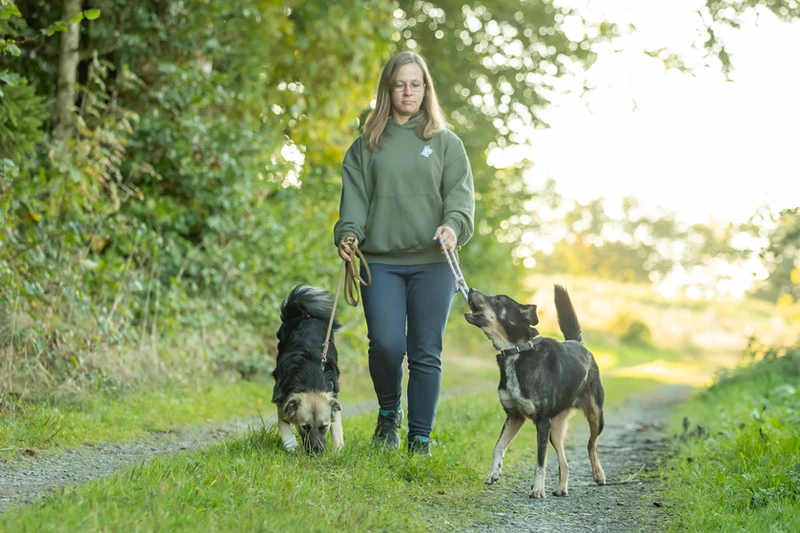 HIBBELHUNDE Spaziergang