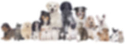 AdobeStock_75588923.jpeg
