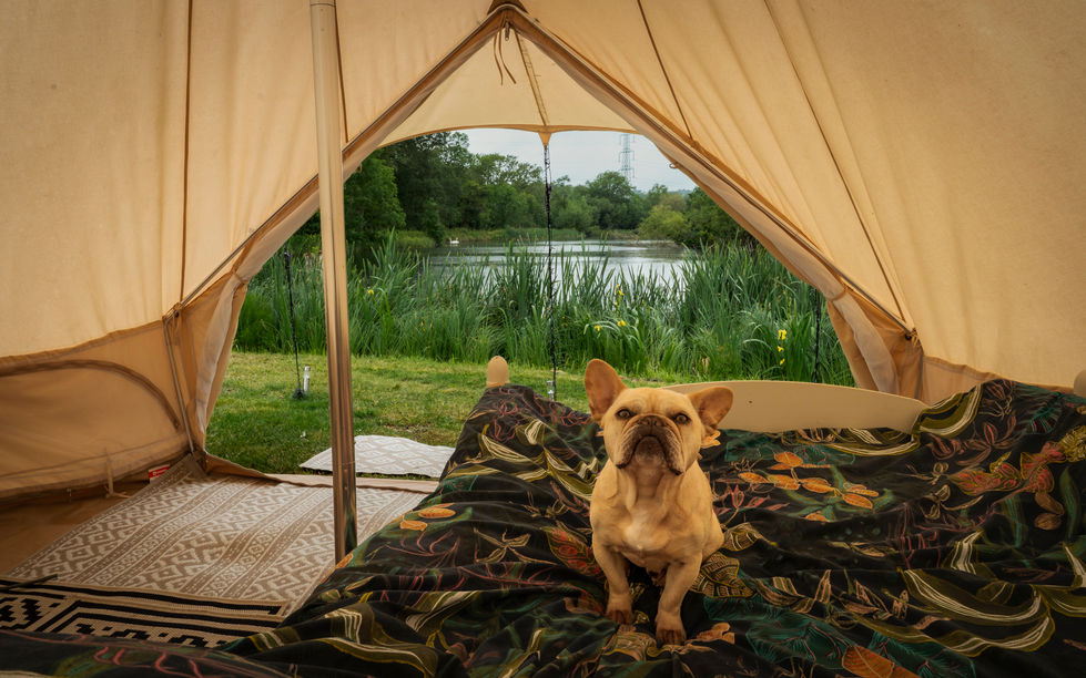 Cotswolds lakeside glamping with pet-friendly charm
A serene glamping escape in the heart of the Cotswolds. This lakeside tipi offers comfort, nature, and space to unwind — with your dog curled up on the bed, ready to share the adventure.