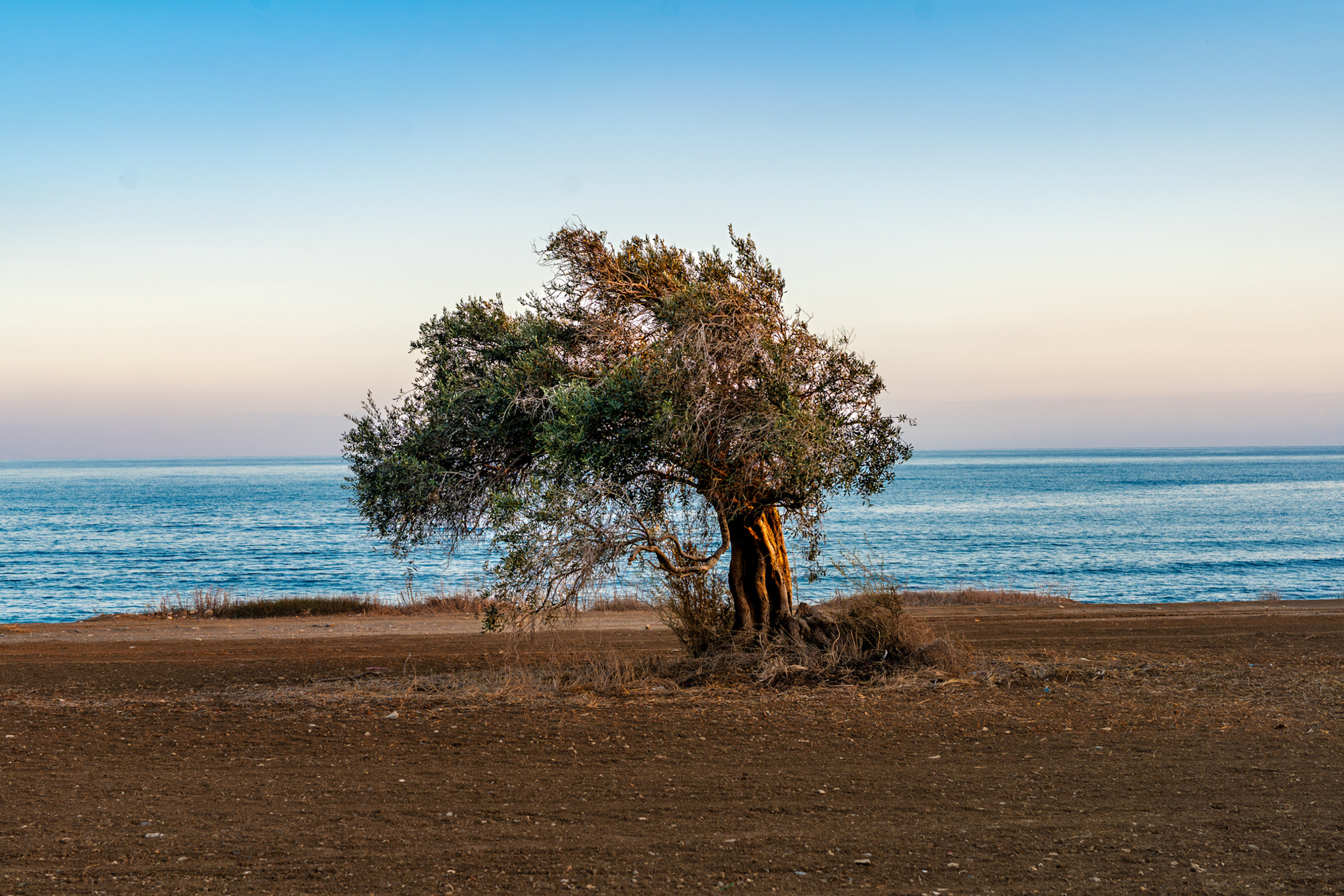 Cyprus
