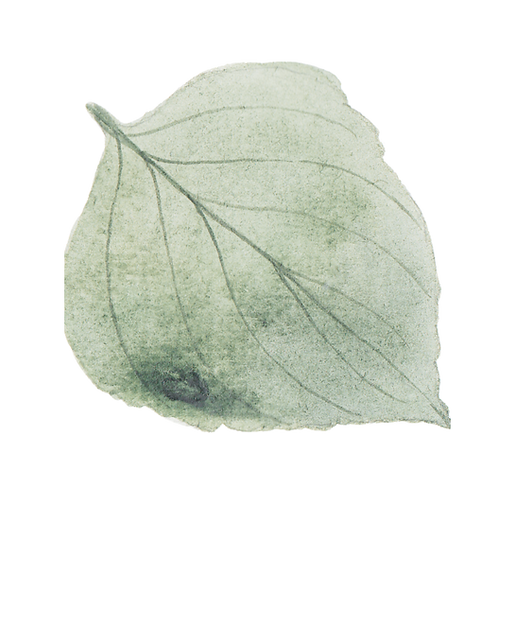 test website welkom (10).png