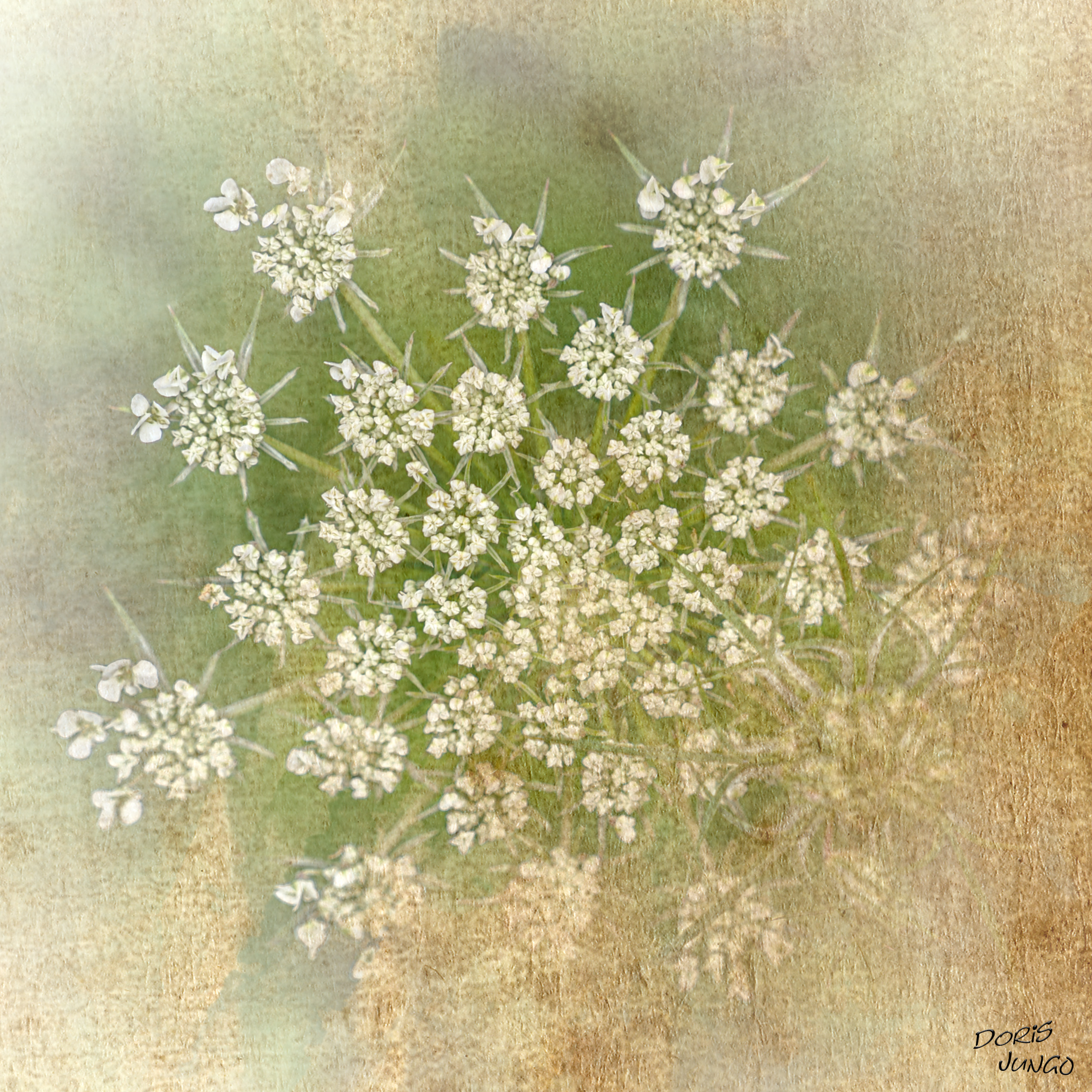 Petites fleurs "framées"