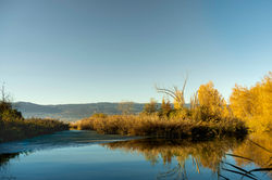 Le bord du lac de Neuchâtel