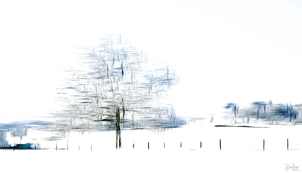 Arbre Vers-chez-Perrin avec de la neige