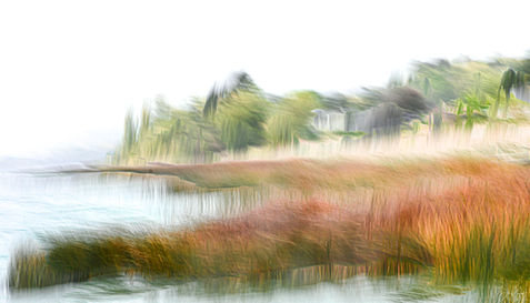 Roseaux oranges au bord d'un la avec en arrière-plan des arbres et une maison