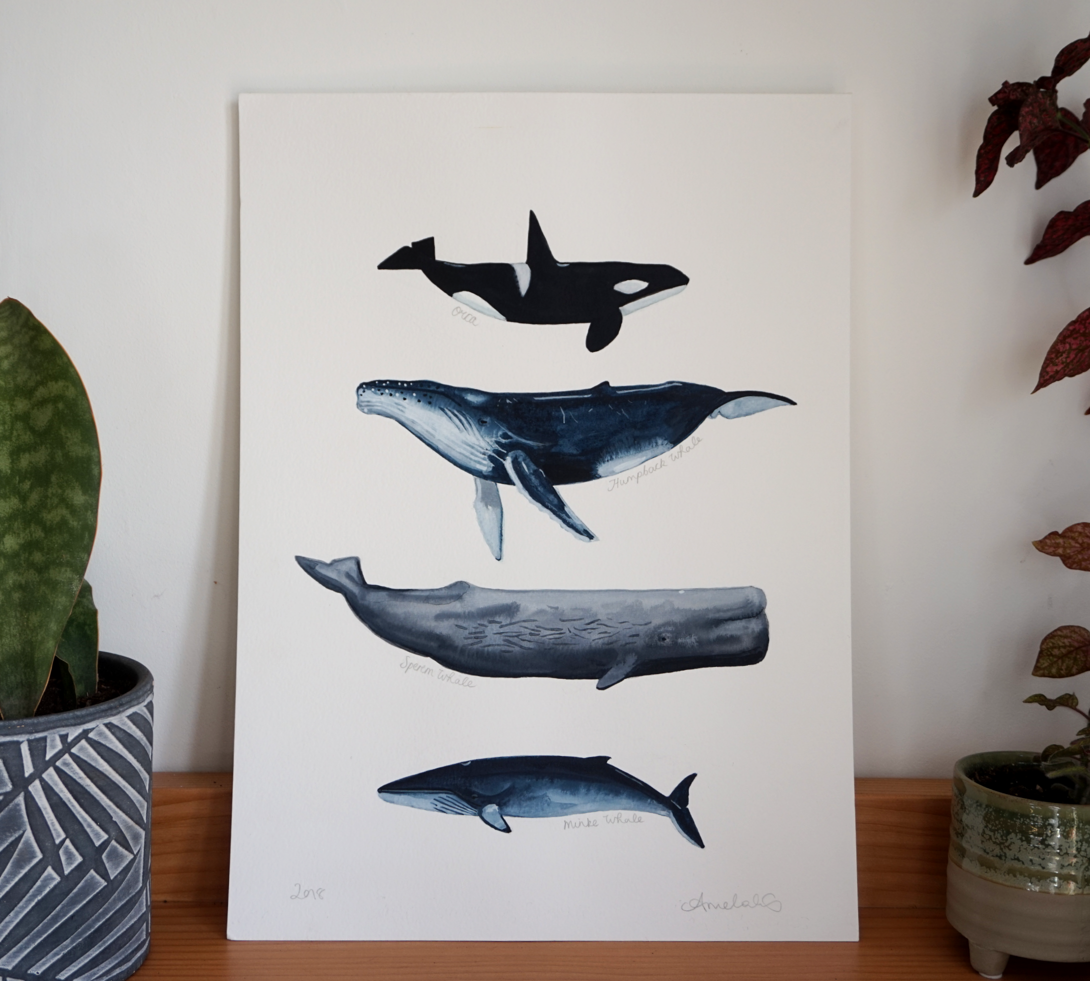 N O R T H S E A W A N D E R E R S A4 Giclee Print