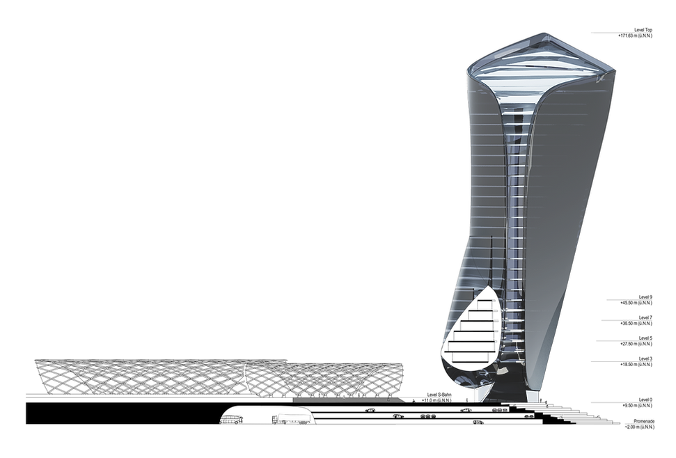 longitudinal section