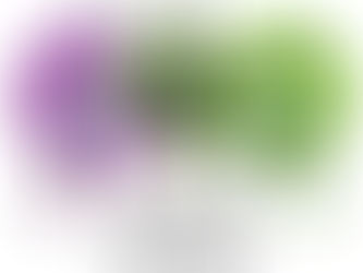 La feuille de chou N°13 - mai 2020