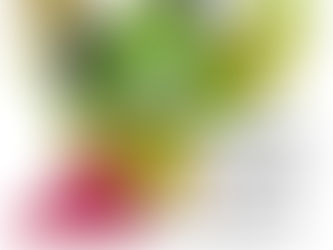 La feuille de chou N°17 - SEPTEMBRE 2020