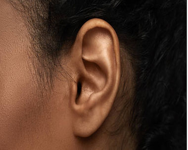 black ear image.jpg
