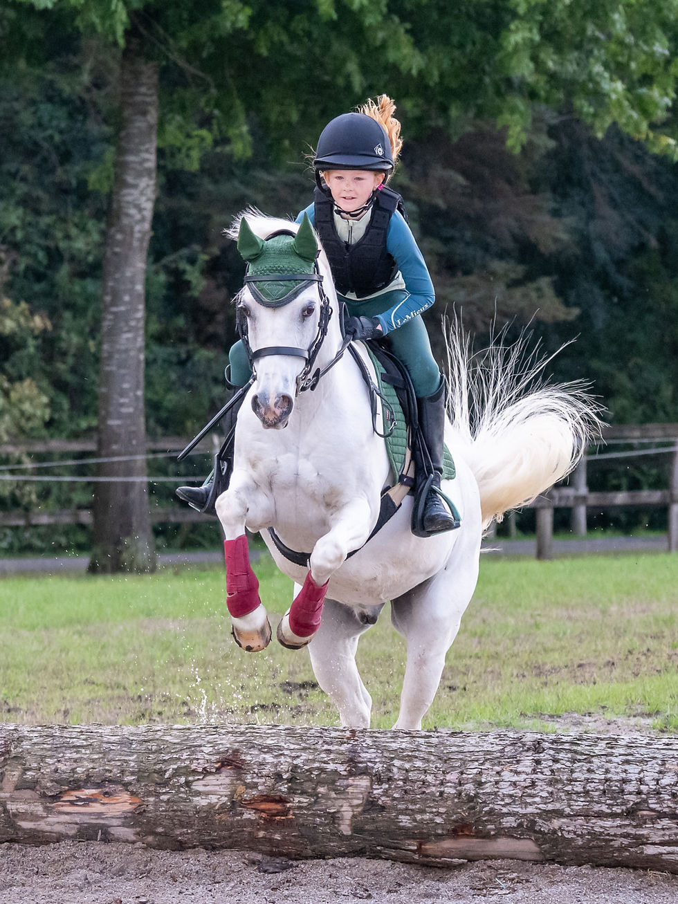 Pony-11_edited.jpg