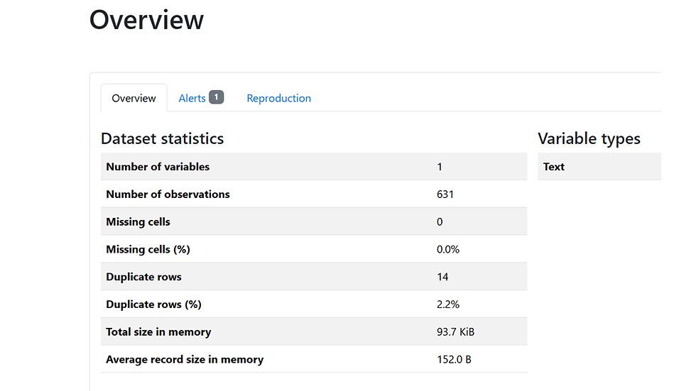 YData Profiling Html Report