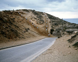 Dune
