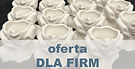 firmy.jpg