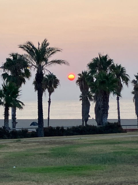 Sunrise beach walks