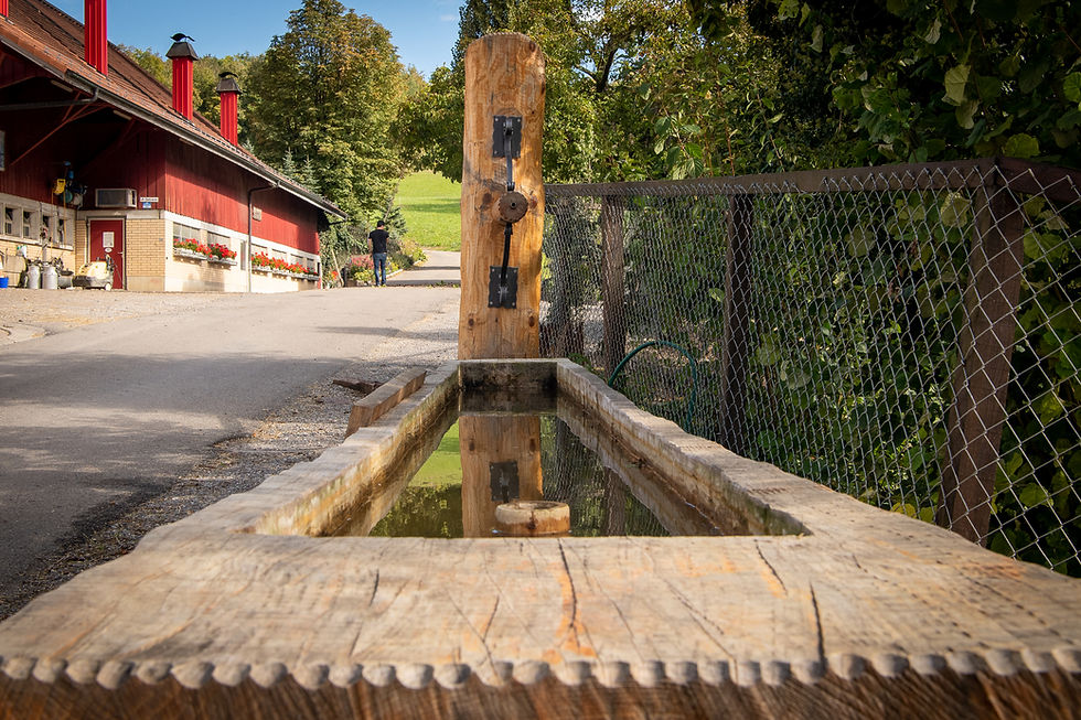 Miniaturbild: Holzbrunnen "Jubiläum" nach Kundenwunsch.