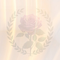 community org banners_edited.jpg