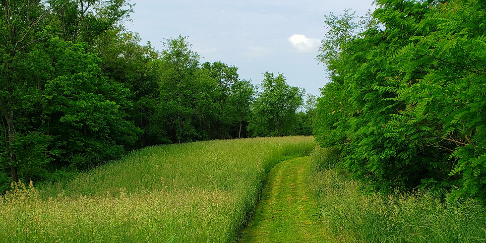 Healing With Plants - July 26-28, 2019