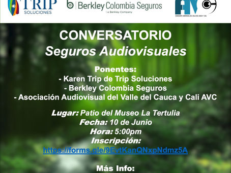 Conversatorio sobre seguros audiovisuales