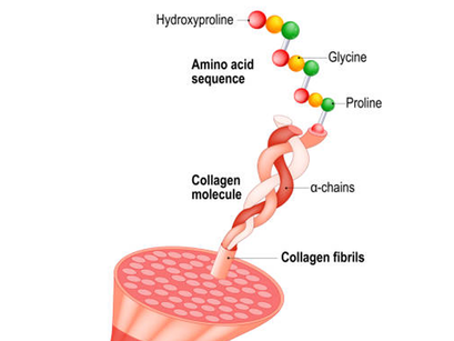 Collagen Supplements. Do you need one and what to look for.
