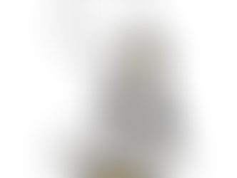 STEM vs. HUMSS: The Battle for My Academic Destiny