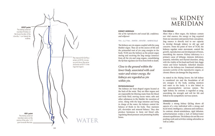 Kidney Meridian