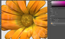 Screenshot 2022-07-02 at 10.15.36.png