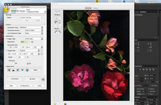 Scanner software is an essential tool for anyone looking to produce high-quality, detailed scans of images and documents. It allows for precise and accurate image reproduction, making it a must-have for professionals in the fields of art, design, and photography.