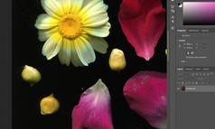 Screenshot 2022-06-28 at 16.13.45.png